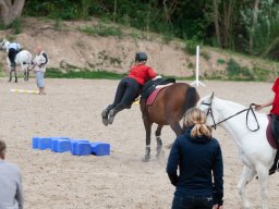 IMG_7914_web